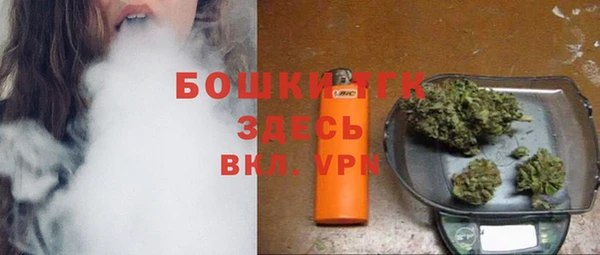 прущие грибы Бутурлиновка
