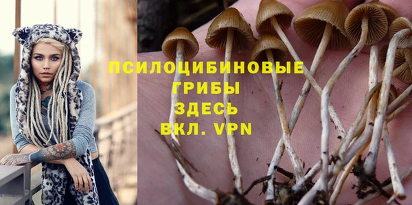 эйфоретик Валуйки