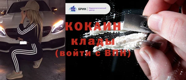 прущие грибы Бутурлиновка