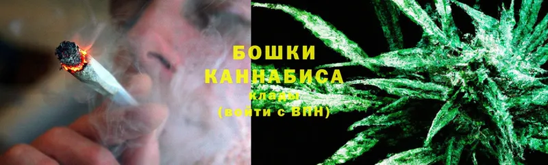 Шишки марихуана THC 21%  Орехово-Зуево 